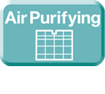 Purifying filter